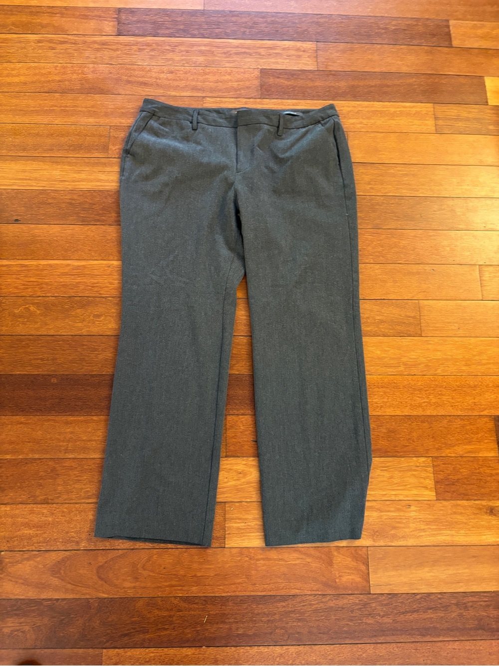 Eddie Bauer Slightly Curvy size 18 Gray Pants